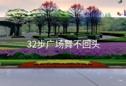 32步广场舞不回头
