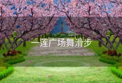 一莲广场舞滑步