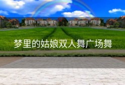 梦里的姑娘双人舞广场舞