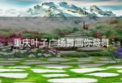 重庆叶子广场舞画你藏舞