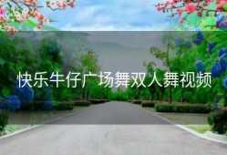 快乐牛仔广场舞双人舞视频