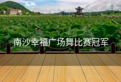 南沙幸福广场舞比赛冠军