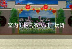 室内偷拍内衣少妇广场舞