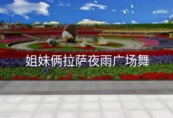 姐妹俩拉萨夜雨广场舞