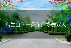 乌兰山下一朵花广场舞双人