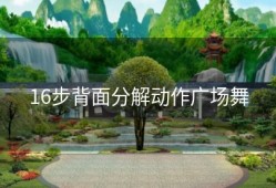 16步背面分解动作广场舞