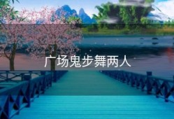 广场鬼步舞两人