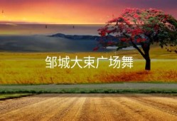 邹城大束广场舞