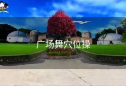 广场舞穴位操