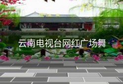 云南电视台网红广场舞