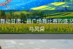 舞动甘肃：县广场舞比赛的盛况与风采