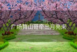 广场舞山哥牵出月亮来