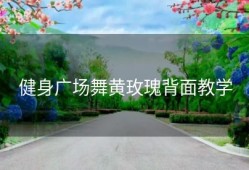 健身广场舞黄玫瑰背面教学