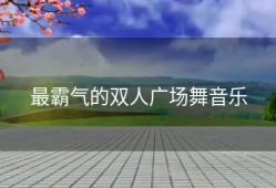 最霸气的双人广场舞音乐