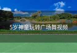 5岁神童玩转广场舞视频