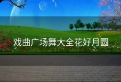 戏曲广场舞大全花好月圆