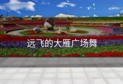 远飞的大雁广场舞