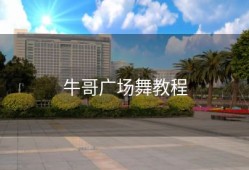 牛哥广场舞教程