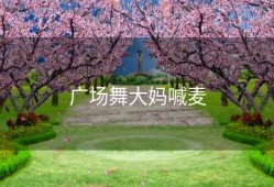 广场舞大妈喊麦