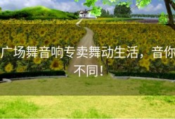 广场舞音响专卖舞动生活，音你不同！