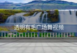 透明有毛广场舞视频