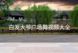 白发大爷广场舞视频大全