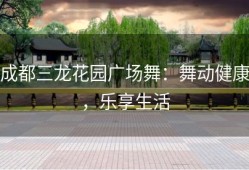 成都三龙花园广场舞：舞动健康，乐享生活