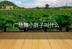 广场舞小胖子叫什么