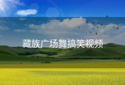 藏族广场舞搞笑视频