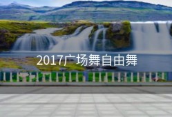 2017广场舞自由舞