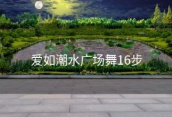 爱如潮水广场舞16步