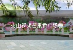 火山视频芒果香广场舞