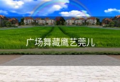 广场舞藏鹰艺莞儿