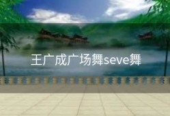 王广成广场舞seve舞