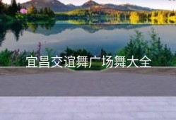 宜昌交谊舞广场舞大全