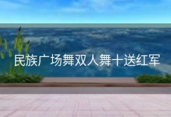 民族广场舞双人舞十送红军