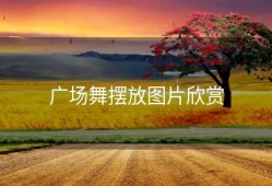 广场舞摆放图片欣赏