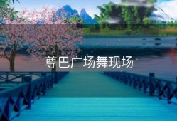 尊巴广场舞现场