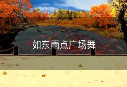 如东雨点广场舞