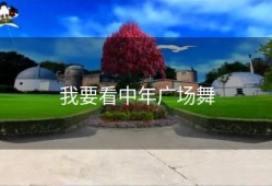 我要看中年广场舞