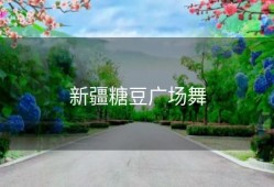 新疆糖豆广场舞