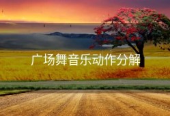 广场舞音乐动作分解