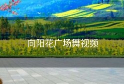 向阳花广场舞视频
