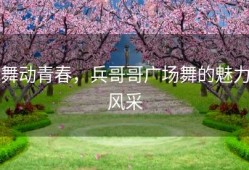 舞动青春，兵哥哥广场舞的魅力风采