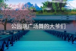 公园跳广场舞的大爷们