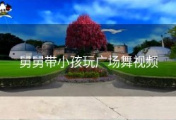 舅舅带小孩玩广场舞视频