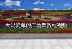 大妈简单的广场舞教程视频
