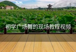 初学广场舞的现场教程视频