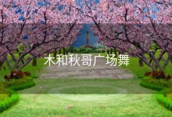 木和秋哥广场舞