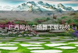 广西柳州广场舞下载视频